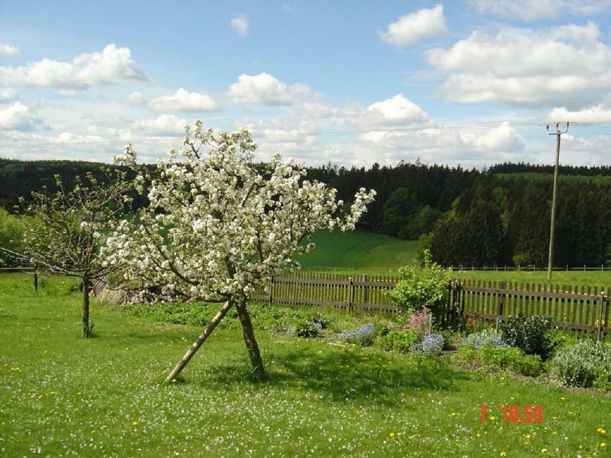 Pension Steiger Bad Griesbach  Buitenkant foto